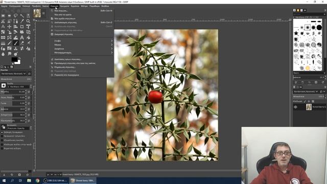GIMP - δωρεάν πρόγραμμα επεξεργασίας εικόνων смотреть онлайн