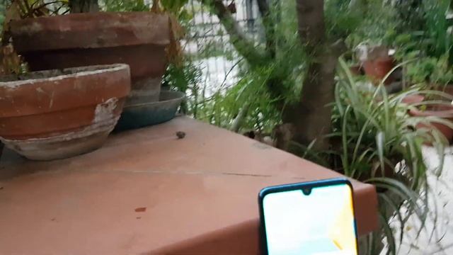 EWELINK NFC TAG смотреть онлайн