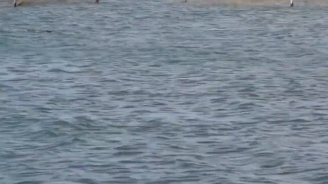 Морские зарисовки 1 смотреть онлайн