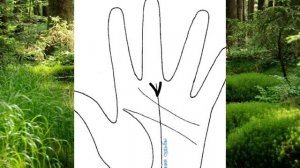 Магия предсказаний. Хиромантия. Линия Судьбы.