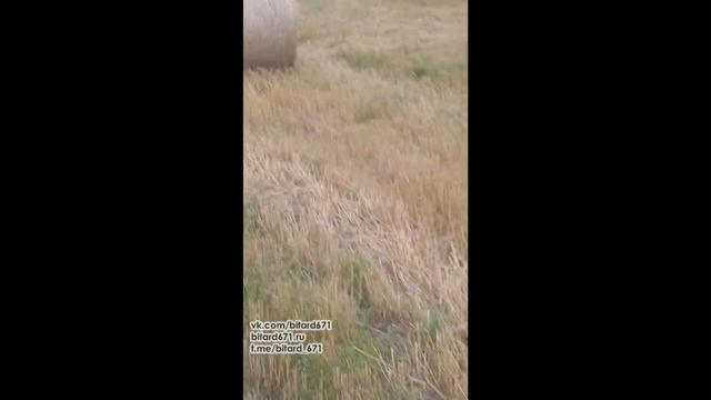 ВЫ ТОЛЬКО ПОСМОТРИТЕ.. КАКАЯ КРАСОТА, КАКИЕ КАТУШКИ! смотреть онлайн