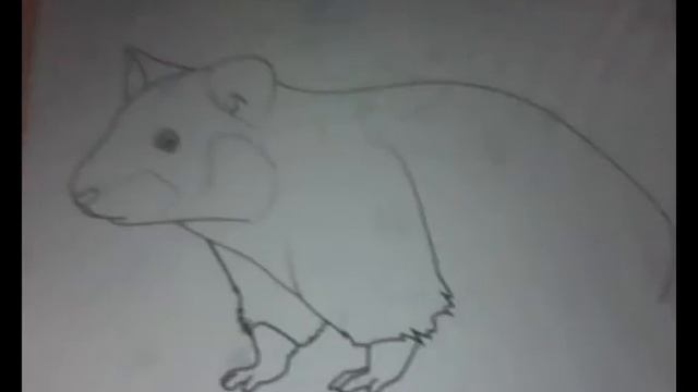 Как рисовать хомяка;3 смотреть онлайн