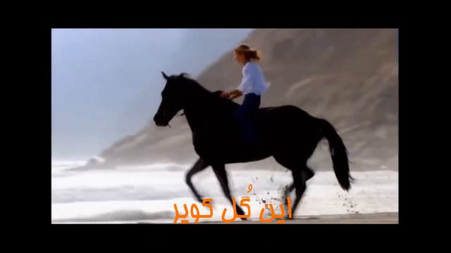 Desert Rose with Farsi translation смотреть онлайн