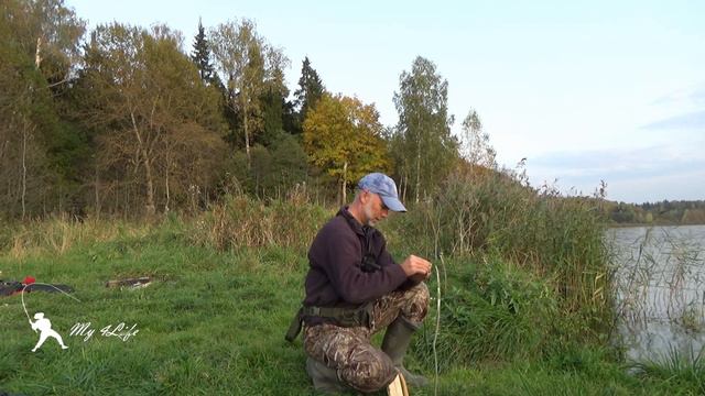 Рыбалка на ЗАКИДУШКИ и ПОПЛАВОК в Подмосковье в сентябре 2020. Часть 2 смотреть онлайн