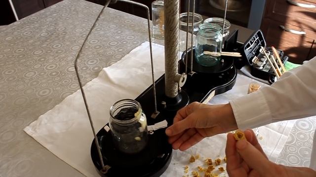 Приготовление состава маточное молочка с мёдом. смотреть онлайн