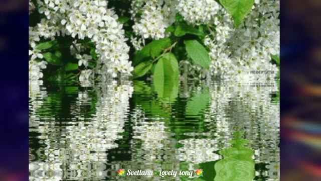 ?БЕЛАЯ ЧЕРЁМУХА?ИСПОЛНЯЕТ Светлана ?Svetlana - Lovely Song ?