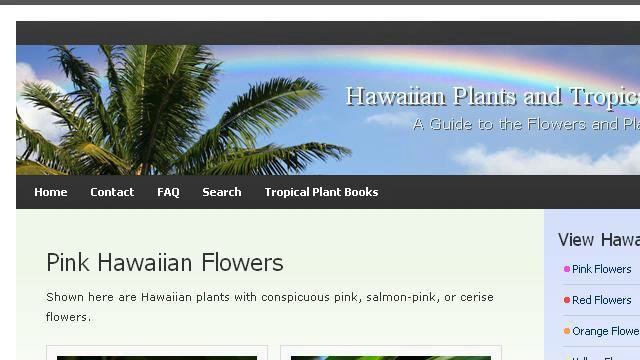 Tropical Pink Hawaiian Flowers смотреть онлайн