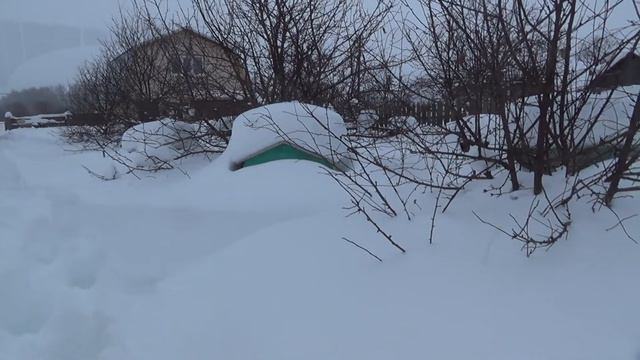 Пчёлы под снегом 2019г. смотреть онлайн