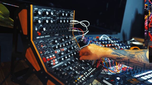 Entropy - Pulsar 23 and Moog Subharmonicon Jam смотреть онлайн