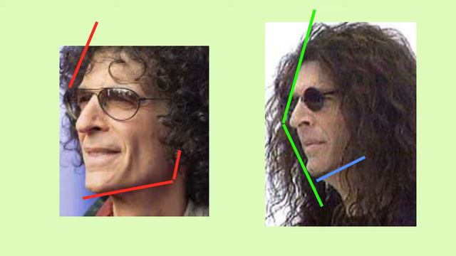 Face Reading: Howard Stern смотреть онлайн