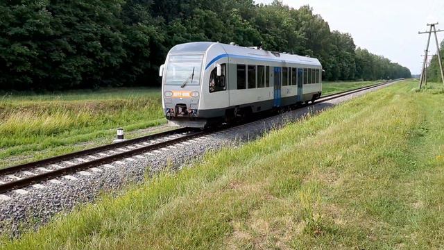 ДП1-006 с рейсом №616Б Гомель-Могилёв. смотреть онлайн