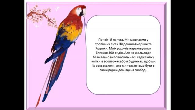 математика 1клас Віднімання на основі розрядного складу числа (45 – 20). смотреть онлайн