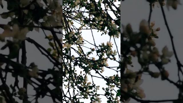 Дух путешествий (Москва-Сухиничи) на поезде смотреть онлайн