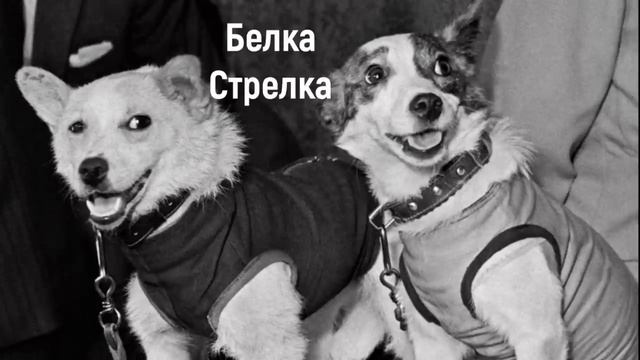 космическое пространство смотреть онлайн