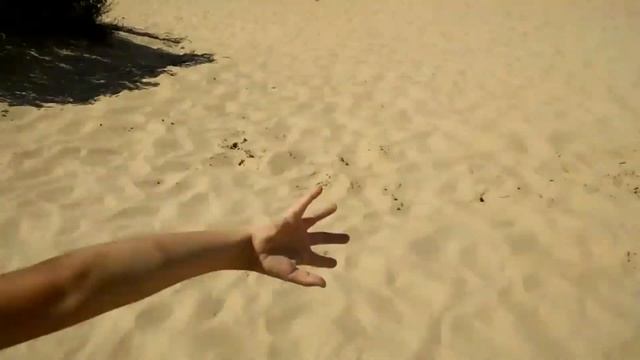 Дзюдо. Тренировки на море. День второй. Тренировка номер два смотреть онлайн