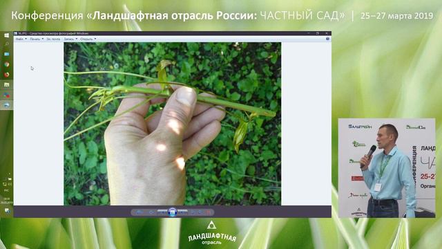 Сад без огорода или съедобные цветки и листья. смотреть онлайн