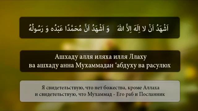 Ат тахият и салават смотреть онлайн