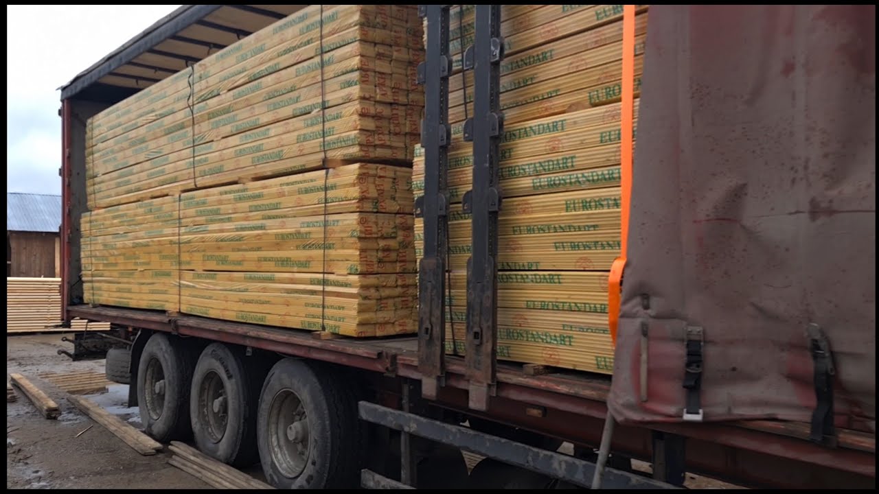 Возим ёлки палки, Архангельский лес! ТалисМАН не подводит) смотреть онлайн