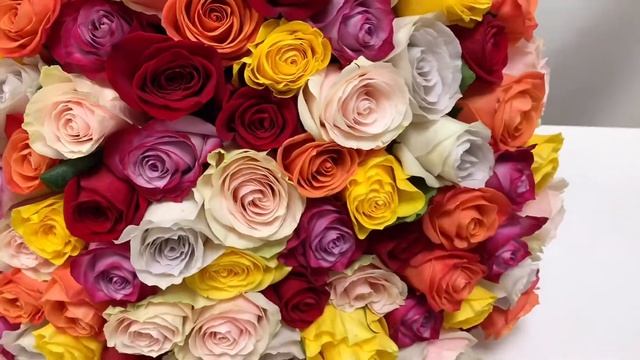 Разноцветные розы смотреть онлайн