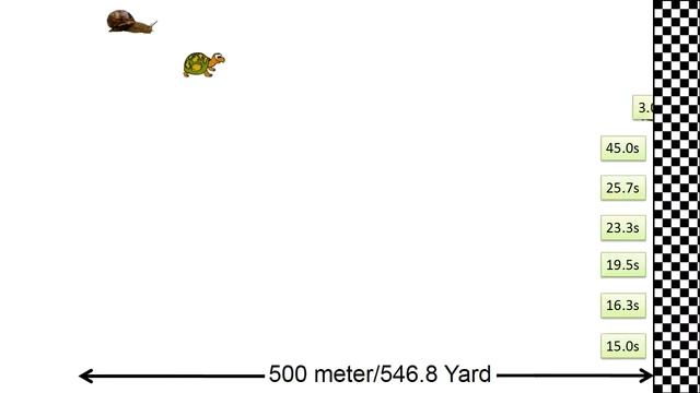 Speed Comparison | Race Simulation смотреть онлайн
