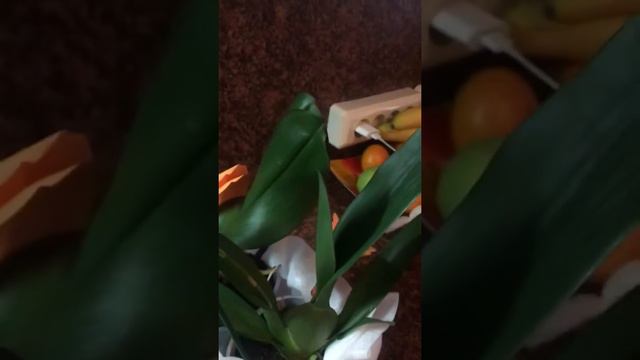 Мои новые приобретения. смотреть онлайн