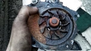 Замена ремня ГРМ, помпы и натяжного ролика двигателя F9Q/F9K своими руками.