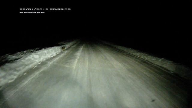 Лиса Сафари смотреть онлайн