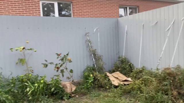 Учусь арт терапии// Рецепт пирога// Давно не были на участке ? смотреть онлайн