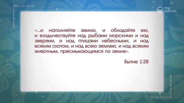 4. Суженый, суженая: как узнать свою половинку? (2 часть) смотреть онлайн