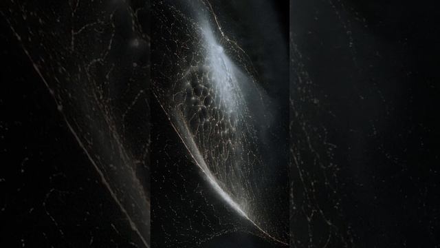 Симуляция, показывающая как могли появиться кольца и спутники Сатурна смотреть онлайн