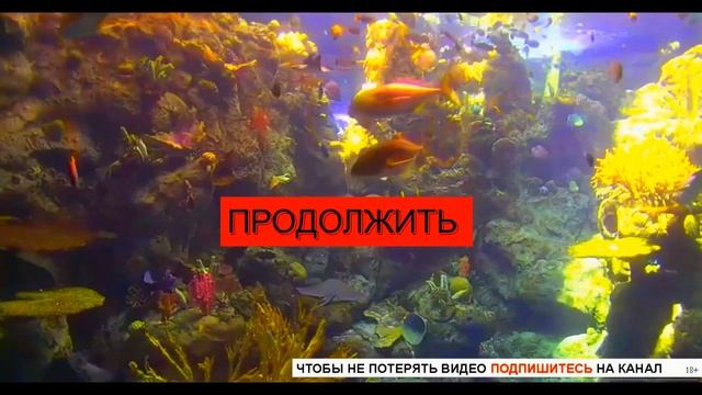 МУЗЫКА ДЛЯ СНА канал ЙКЙЯМ 2 смотреть онлайн