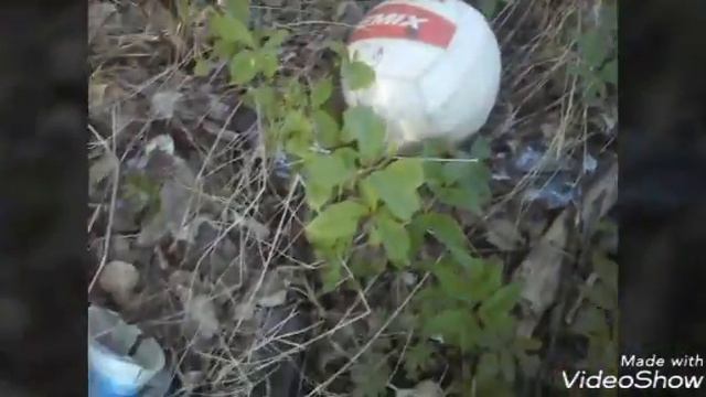 Лезу за мячиком в крапиву смотреть онлайн