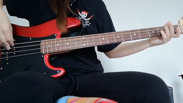 Skater Boy Avril Lavigne Bass Cover смотреть онлайн