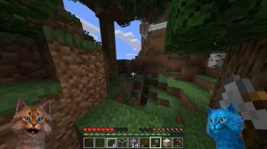 ЖИЗНЬ КОТИКА НУБА ! МАЙНКРАФТ В РЕАЛЬНОЙ ЖИЗНИ ВИДЕО ТРОЛЛИНГ MINECRAFT КОТИК ИГРОМАН И КОТЁНОК ЛАЙ
