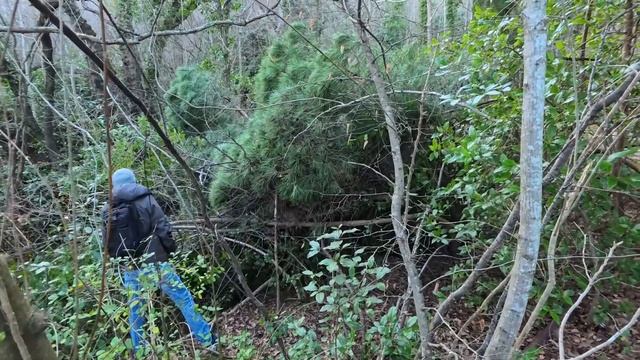 От ДВОРЦА к ПЛЯЖУ. Ливадия своими глазами одним кадром своими глазами. Крым. Ялта. Январь 2024 смотреть онлайн