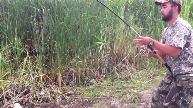 Ловля змейголова смотреть онлайн