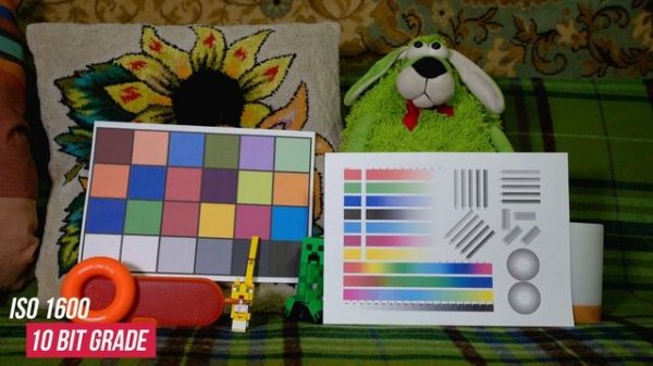 Nikon Z6-2 || 8 bit, 10 bit n-log, 12 bit raw || Small test