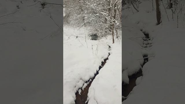 Заснеженное рождественское Райково смотреть онлайн