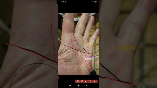 🐍🐍Хиромантия // Краткий спонтанный ответ // Линия Симиан#30 смотреть онлайн