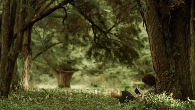 The Lord Of The Rings: Eastfarthing Woods Ambience & Music