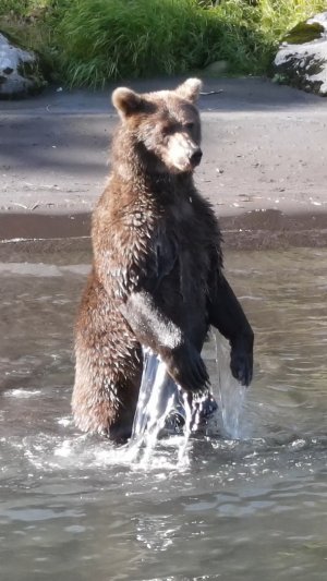 Рыбалка на камчатке