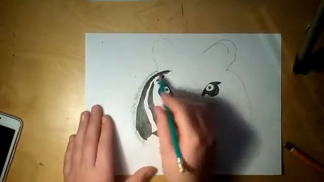 Как нарисовать тигра. смотреть онлайн