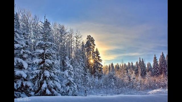 научиться круто фотографировать смотреть онлайн
