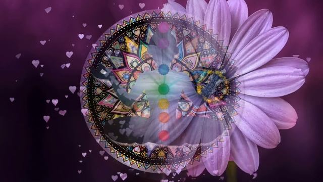 Перед тем как надеть обувь, скажите так... смотреть онлайн