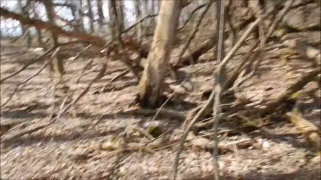 Прогулка на 12 км ультралайт - 4 кг поясная сумка. смотреть онлайн