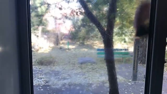 ВОТ ЭТО СПОСОБ ! ОТМЫТЬ ОКНО СТЕКЛА, ЗЕРКАЛА До Блеска и БЕЗ РАЗВОДОВ! смотреть онлайн