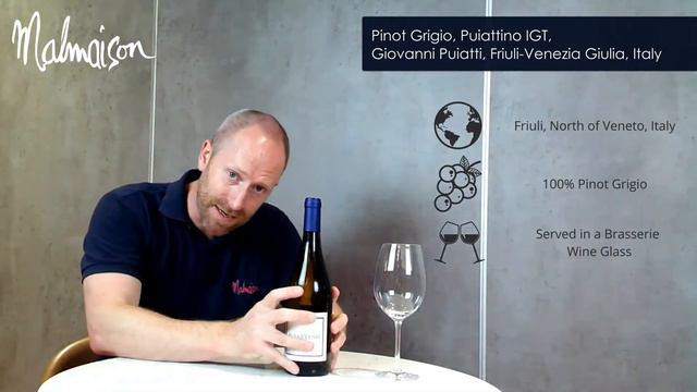 Pinot Grigio, Puiattino IGT, Giovanni Puiatti, Friuli Venezia Giulia, Italy смотреть онлайн