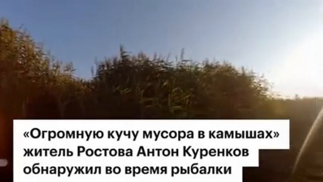 Крупное хищение посылок Почты России в Ростовской области смотреть онлайн