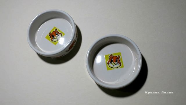 Какую поилку выбрать для кролика? смотреть онлайн