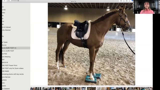 No. 29. SURE FOOT® Equine Stability Program with Wendy Murdoch May 1, 2020 смотреть онлайн